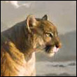 upuvyw's Avatar