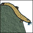 agizoj's Avatar