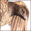 esyfup's Avatar