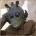 ysawivozu's Avatar
